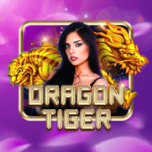 Dragon Tiger at SuperAceKing